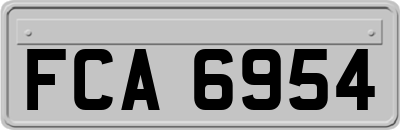 FCA6954