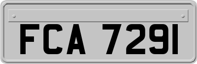 FCA7291
