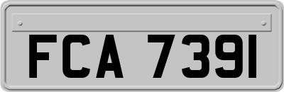 FCA7391