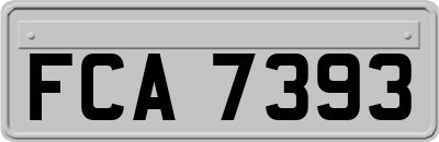 FCA7393