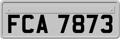 FCA7873