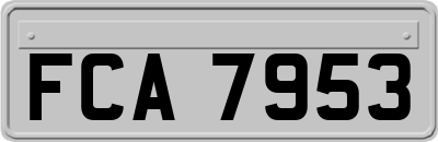 FCA7953
