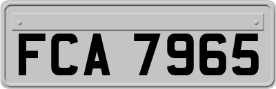 FCA7965