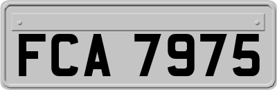 FCA7975