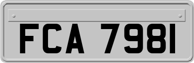 FCA7981