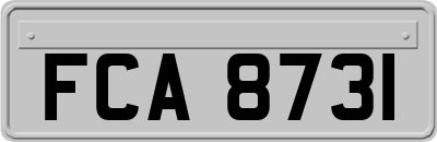 FCA8731
