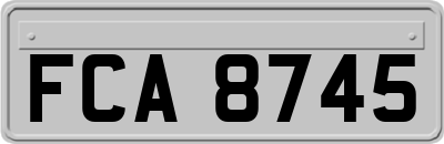 FCA8745