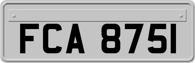 FCA8751