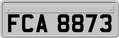 FCA8873