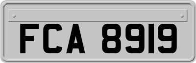 FCA8919