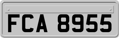 FCA8955