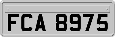 FCA8975