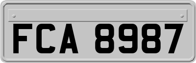 FCA8987