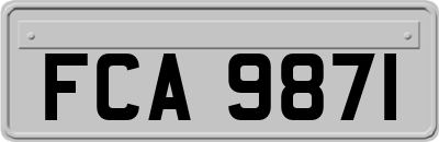 FCA9871