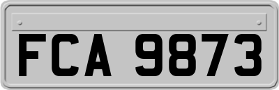 FCA9873