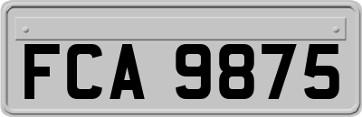 FCA9875