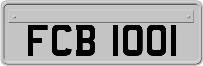 FCB1001
