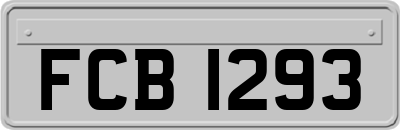 FCB1293