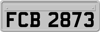 FCB2873
