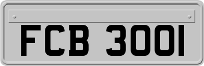 FCB3001