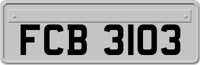 FCB3103