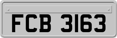 FCB3163
