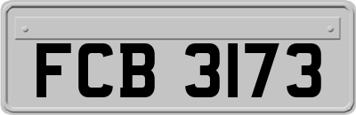 FCB3173