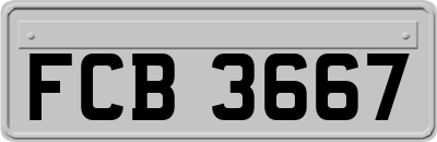 FCB3667