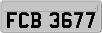 FCB3677