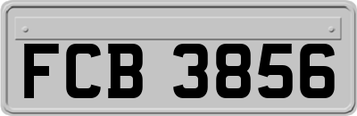 FCB3856