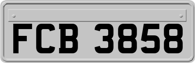 FCB3858
