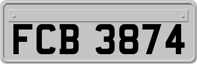 FCB3874