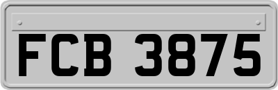 FCB3875