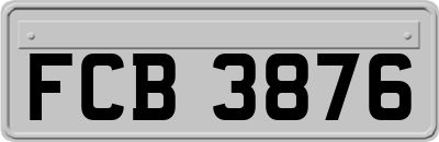 FCB3876