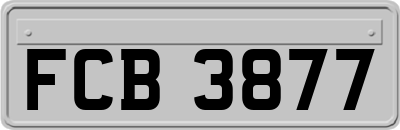 FCB3877