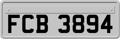 FCB3894