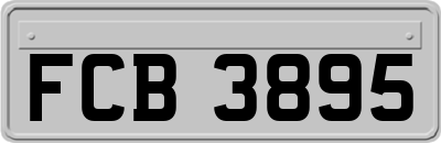 FCB3895