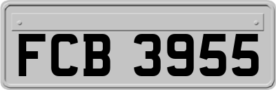 FCB3955