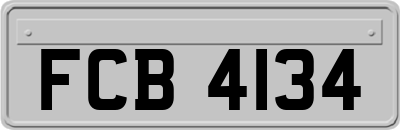 FCB4134