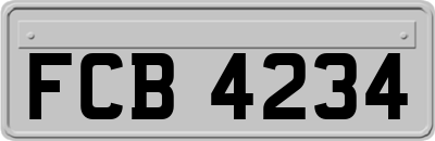 FCB4234