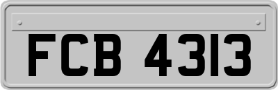 FCB4313