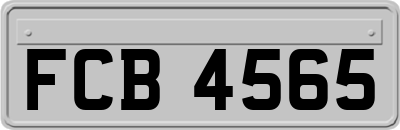 FCB4565
