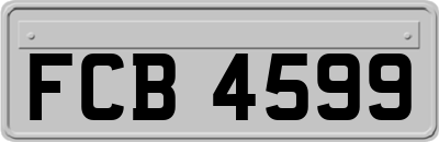 FCB4599