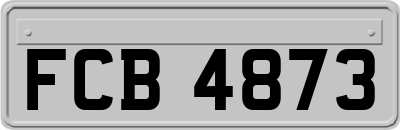 FCB4873