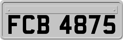 FCB4875