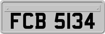 FCB5134