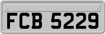 FCB5229