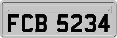 FCB5234