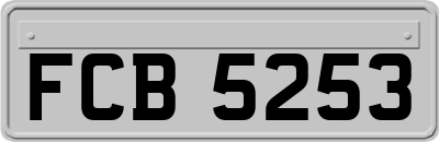 FCB5253
