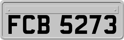 FCB5273